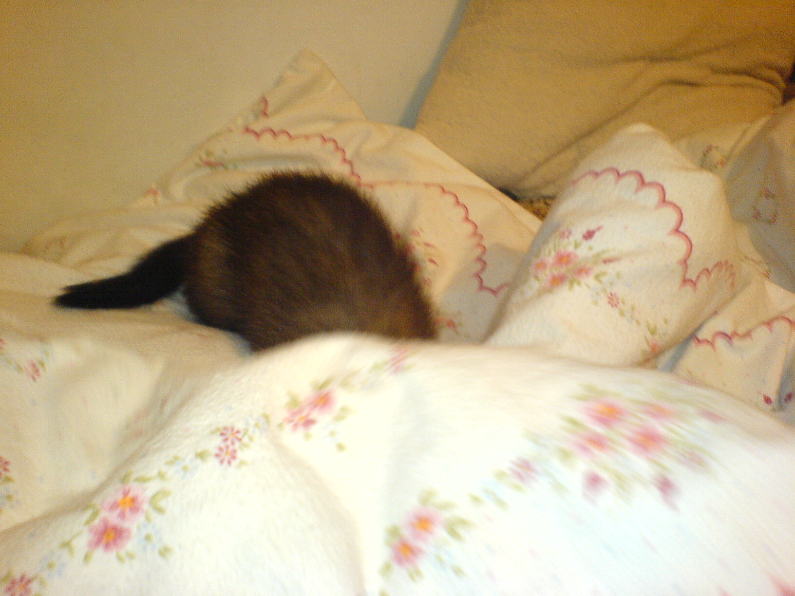 DSC00134.JPG