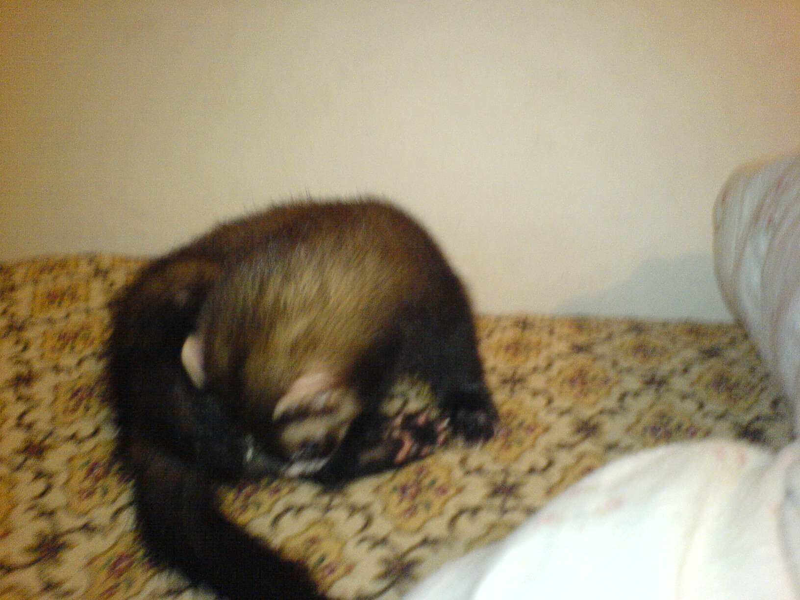 DSC00136.JPG